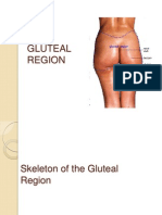 Gluteal Region