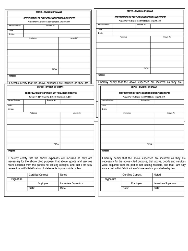 RER Form for DepEd Expense Certification | PDF | Expense | Income Statement