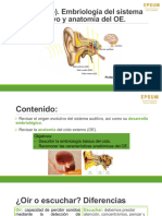 UF1 (I Parte) - Presentación Embriología Del Sistema Auditivo y Anatomía Del OE - Compressed