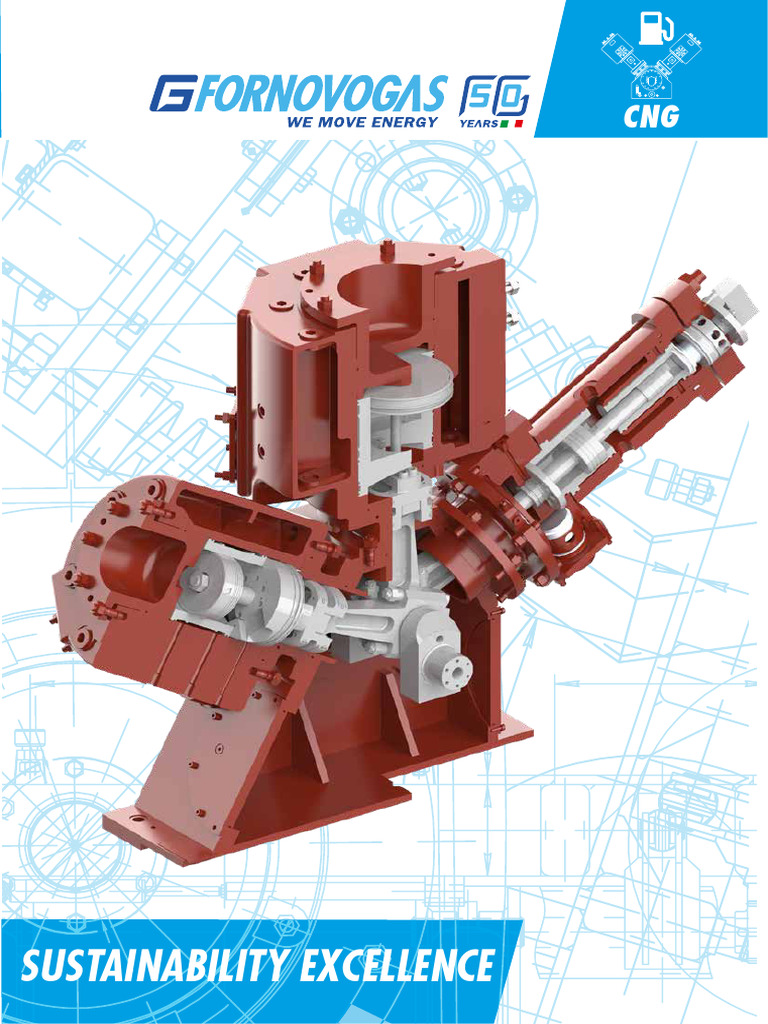 CNG A4-Eng | PDF | Manufactured Goods | Mechanical Engineering