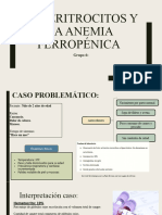 Los Eritrocitos y La Anemia Ferropénica