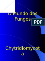 Apresentaçãomorfologia Fungos1
