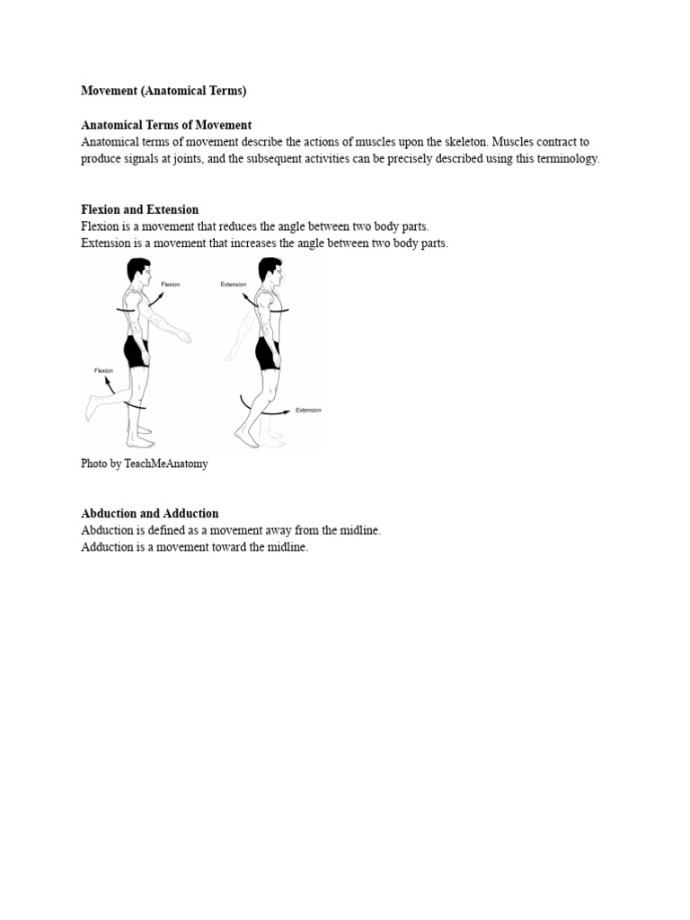 Anatomical Terms of Movement Explained | PDF | Anatomical Terms Of ...