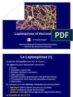 05-La Leptospirose v2b