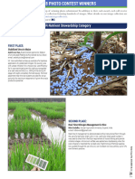 4R Nutrient Stewardship Category: First Place