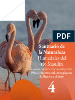 Santuario de La Naturaleza Humedales Del Río Maullín. Colección Objetos de Conservación. Tomo 4