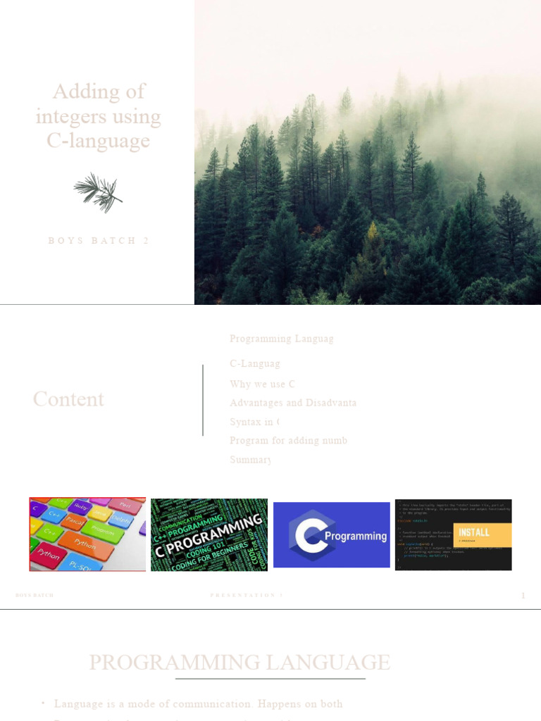 C Programming | PDF | C (Programming Language) | Operating System