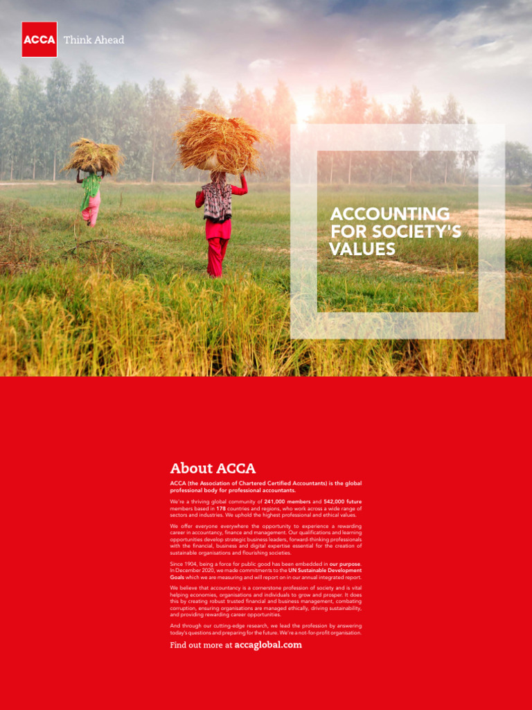 Pi Accounting Societies Values v4 PDF Employment Sustainability