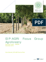 Fg22 Agroforestry Startingpaper 2017 en