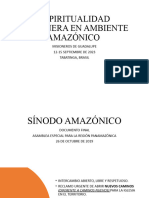 Final Sinodo Amazónico