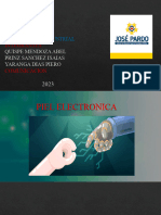 Piel Electronica