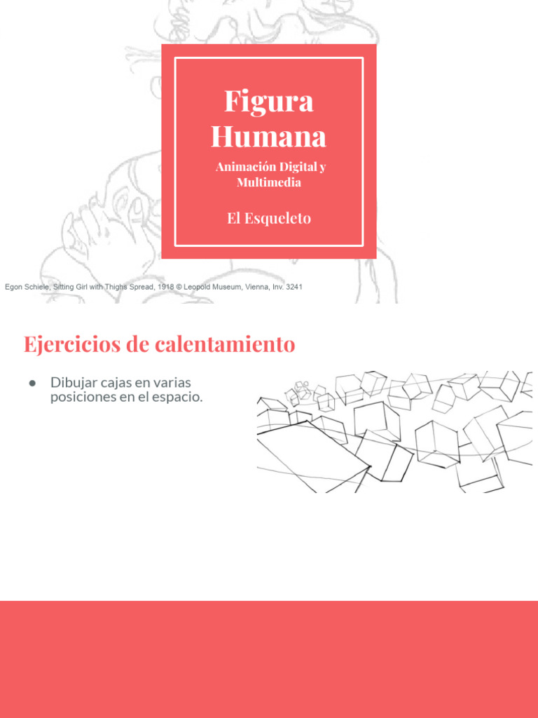Esqueleto Humano y Figura Simplificada | PDF | Esqueleto | Zoología