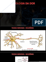 Aula 4 - Fisiologia Da Dor - 230825 - 100740
