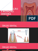 Aula 1 - Classificação e Notação Dentária