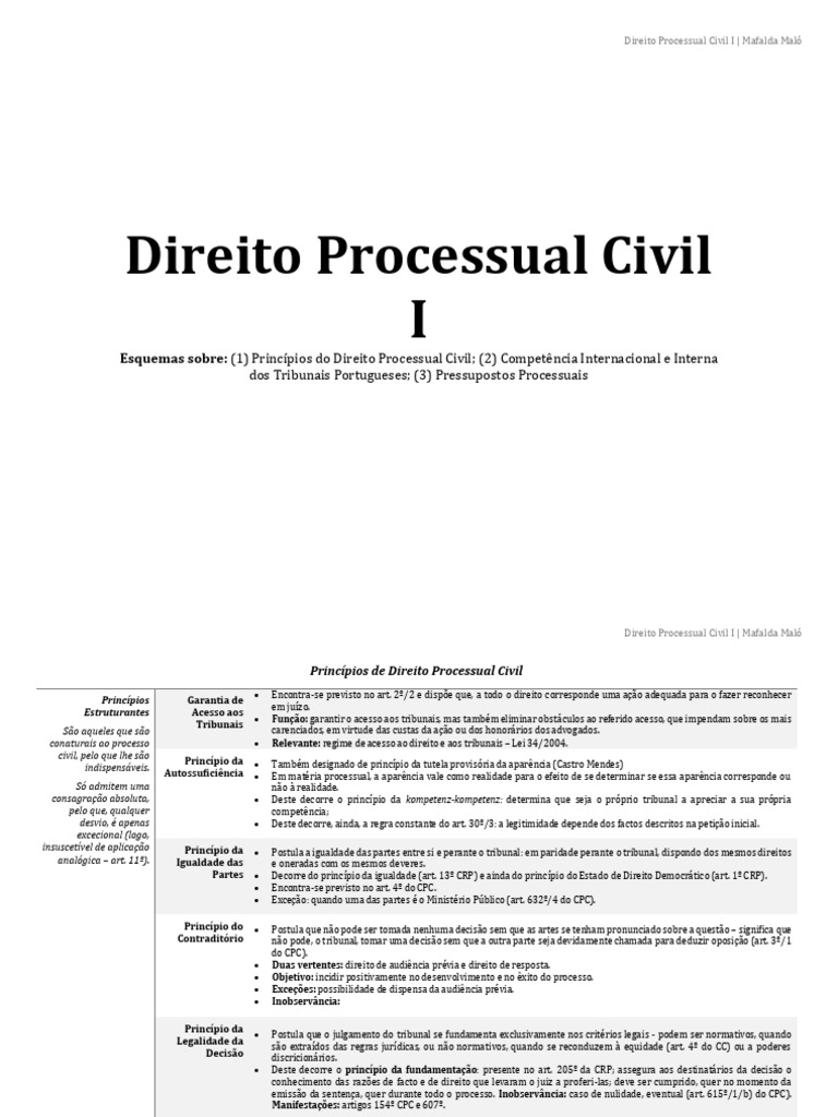 Princípios do Direito Processual Civil | PDF | Litisconsórcio ...