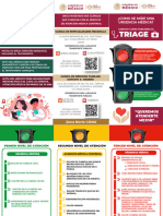 Triptico Triage 2023 Zona Norte