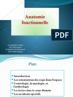 Anatomie Eps