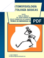Fichasanatomofisiologia 101128095946 Phpapp01