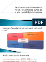 Structura Silva Sud