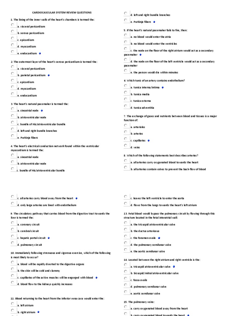 Cardiovascular System Review Questions | PDF | Heart Valve | Ventricle ...