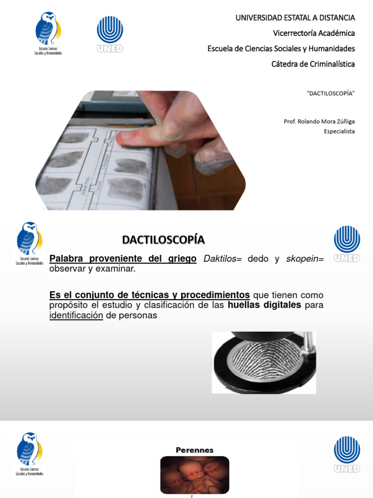 Clasificación y Técnicas en Dactiloscopia | PDF | Huella dactilar
