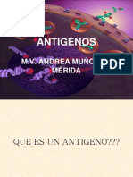 Antigen Os