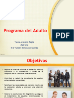 Clase N 5 Programa Del Adulto