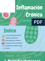 Inflamacion Cronica Lab 19