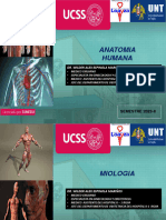 Sistema Neuromuscular