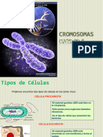 BiologiaCromosomas Mitosis&meiosis