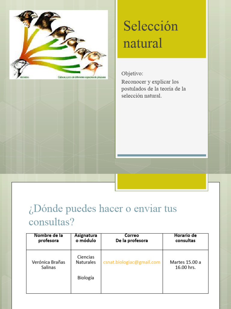 Teoría de la Selección Natural de Darwin | PDF | Evolución | Seleccion ...