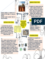 Organizador Gráfico Lluvia de Ideas Organización de Proyectos Sencillo Amarillo y Blanco - 20230918 - 124901 - 0000