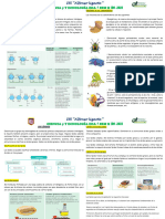 Ciencia Y T Ecnología Eda 1RO - 2023: Funciones de Los Carbohidratos