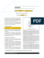 Mansilla Canelas, G. (2000) - Maduración Biológica en La Adolescencia