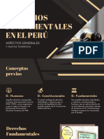Derechos Fundamentales en El Perú. Aspectos Generales y Nuevas Tendencias