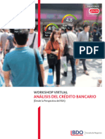 Analisis Del Credito Bancario (REA)