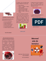 Triptico Mermelada de Jamaica