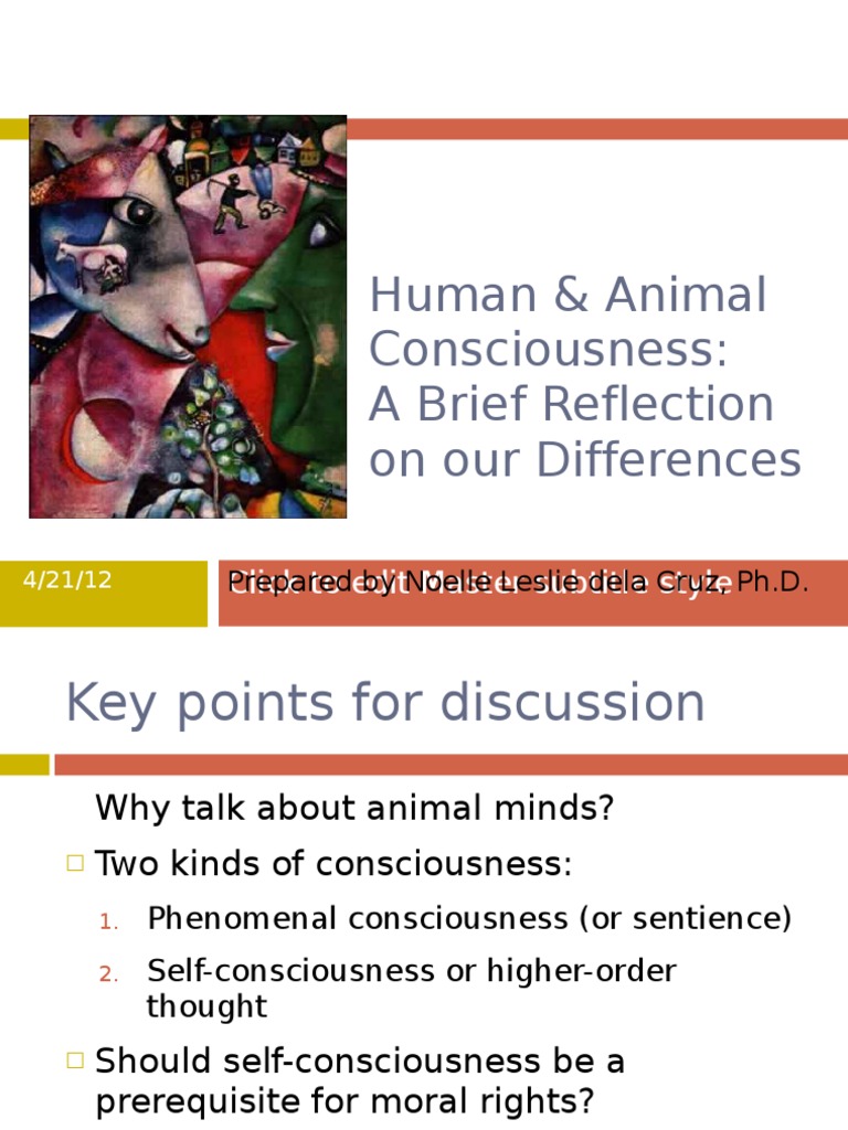 Human and Animal Consciousness Self Awareness Consciousness