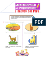 Animales Nativos Del Perú para Primero de Primaria