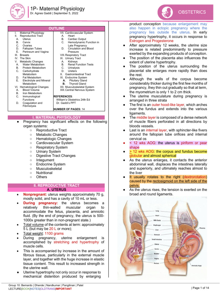 Understanding Maternal Body Habitus A Complete Guide - dnkcf6x