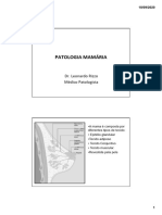 Patologia Mamária Univag 2019-2 Completa Alunos - PDFPB