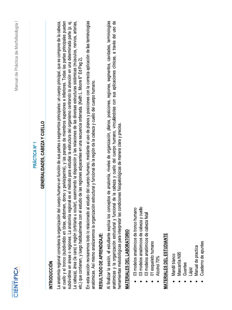 Manual_MORFOFISIOLOGIA+I_SEM-02_SESI%C3%93N-04_2023-2 (1) | PDF