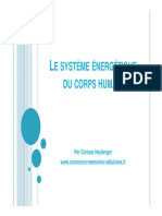 Le Système Énergétique Du Corps Humain