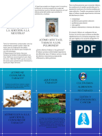 Brochure Trifolio Servicios Odontológicos Minimalista Modular Azul Blanco