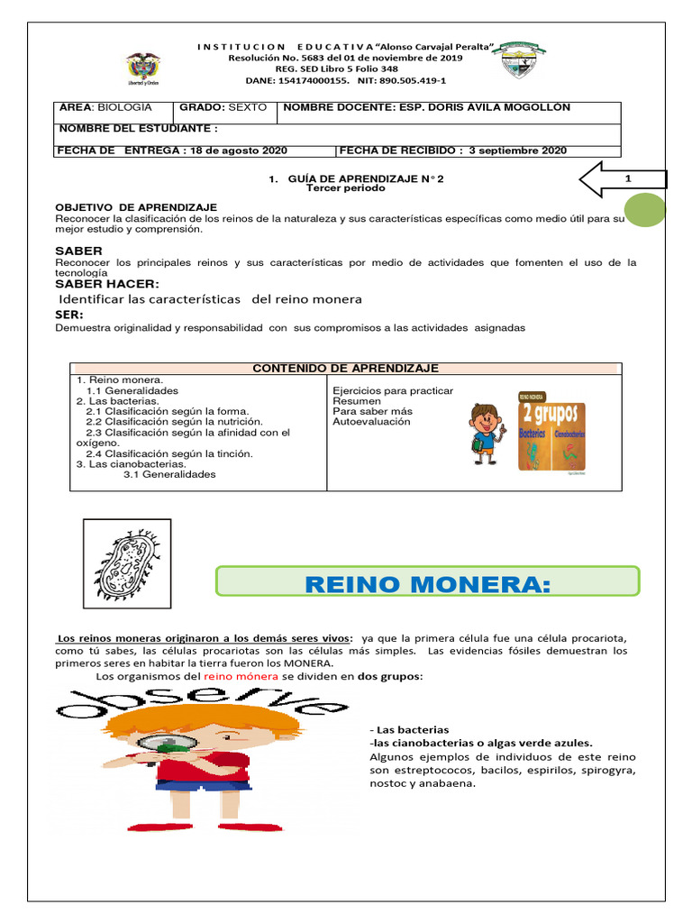 Características del Reino Monera: Bacterias | PDF | Las bacterias |  Microbiología