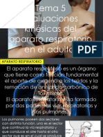 Evaluaciones Kinesicas Del Aparato Respiratorio en El Adulto