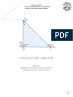 Triangulos Rectangulos (Ejercicios)