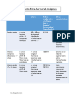 Cuadros de Resumen PDF