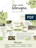 Mapa Mental FITOTERAPIA - Dana Sofia Cervantes Camacho