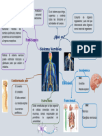 Mapa Mental Sistema Nervioso